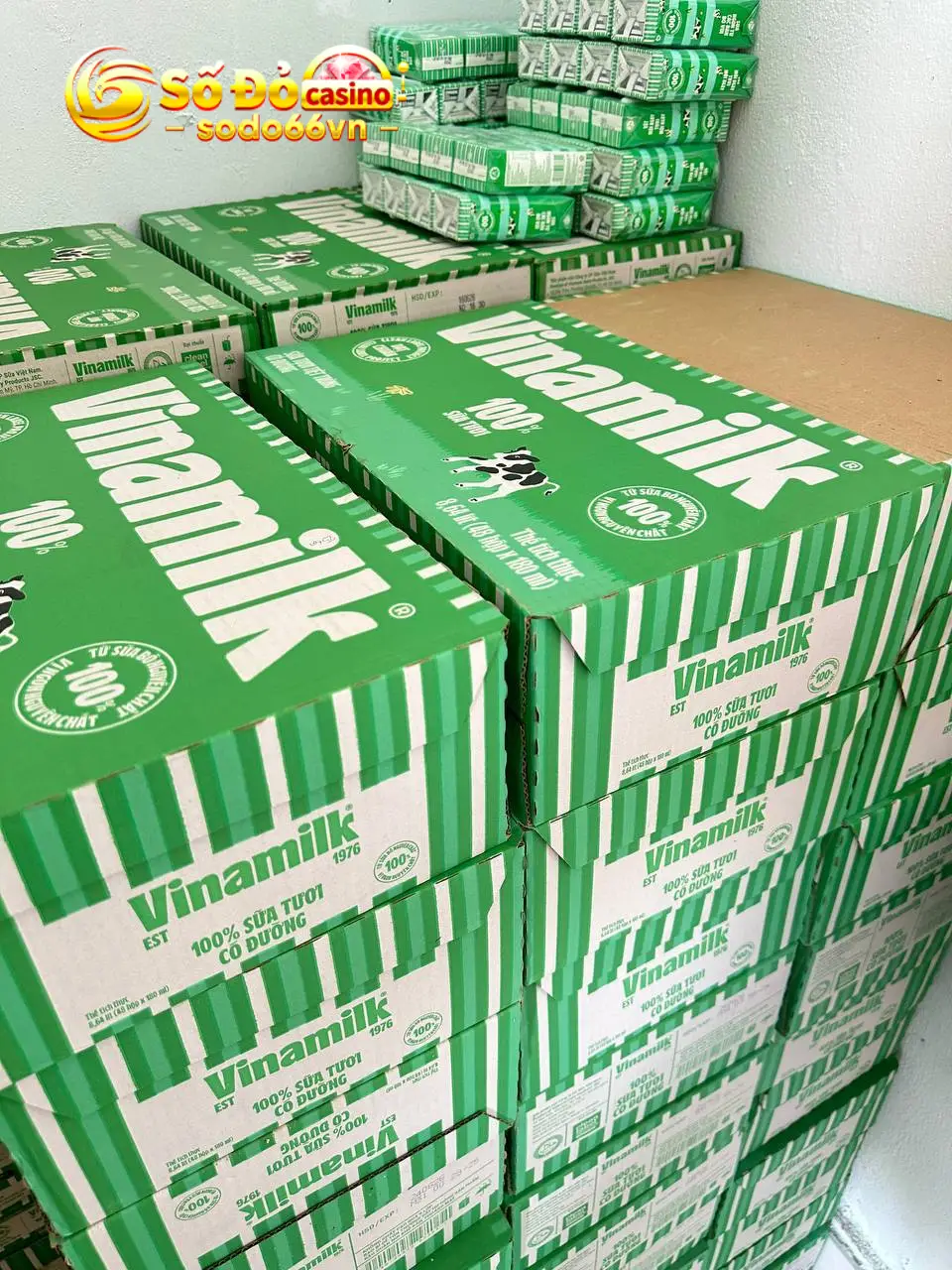 SODO66 Chung Tay Vì Bà Con Miền Trung – Lan Tỏa Yêu Thương 5 hình ảnh sodo66 hỗ trợ bà con miền trung 4