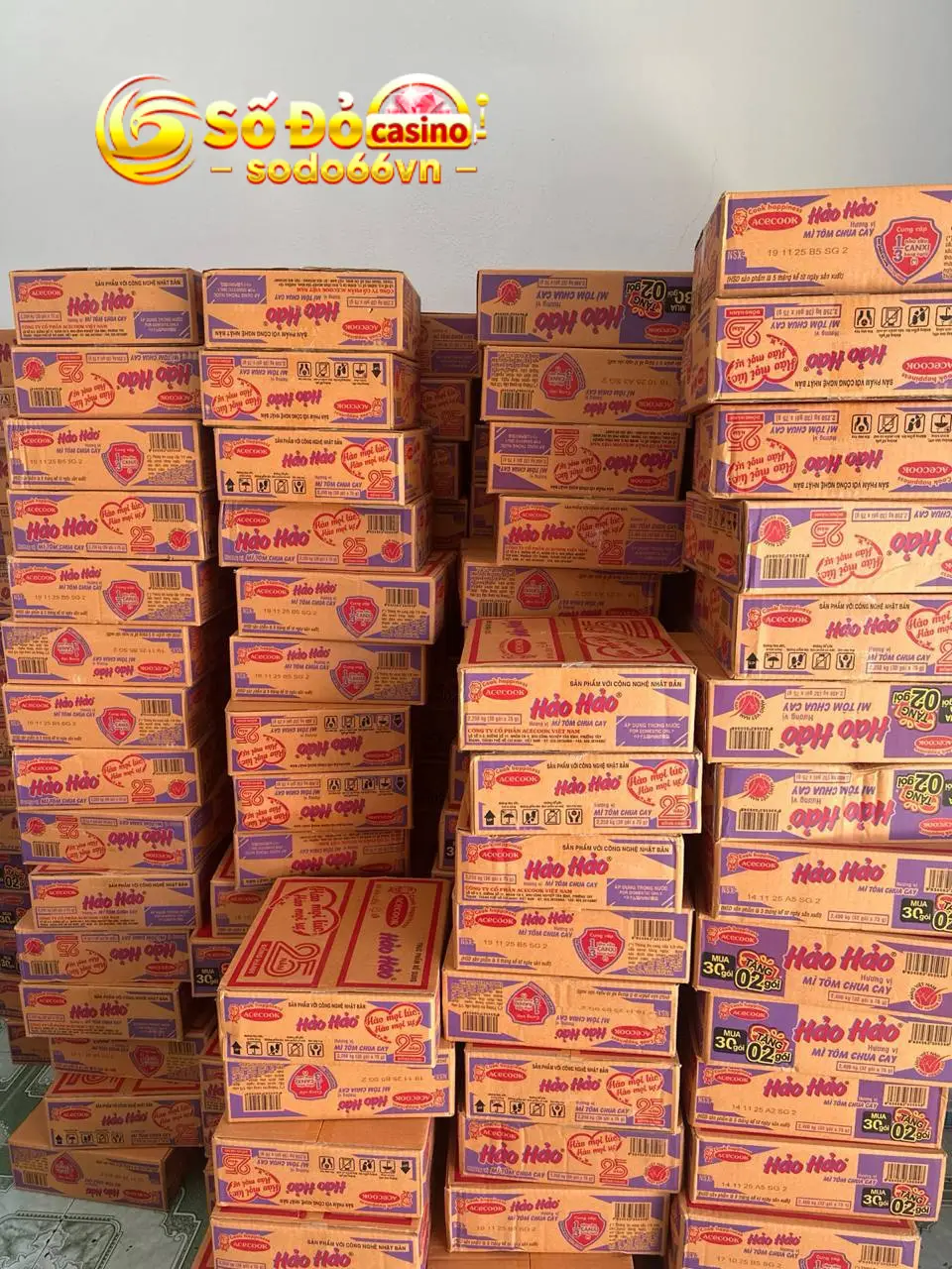 SODO66 Chung Tay Vì Bà Con Miền Trung – Lan Tỏa Yêu Thương 6 hình ảnh sodo66 hỗ trợ bà con miền trung 5