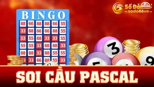 Soi Cầu Pascal