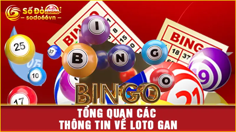Tổng quan các thông tin về loto gan